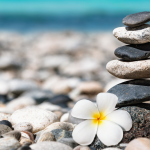 Life in Balance: Expert Tips and Strategies for a Harmonious Lifestyle